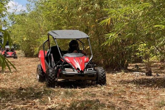 Houston Dune Buggy Adventure