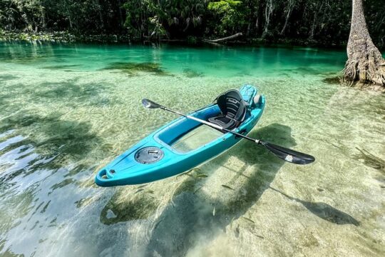 Glass Bottom Kayak Guided Tour in Silver springs