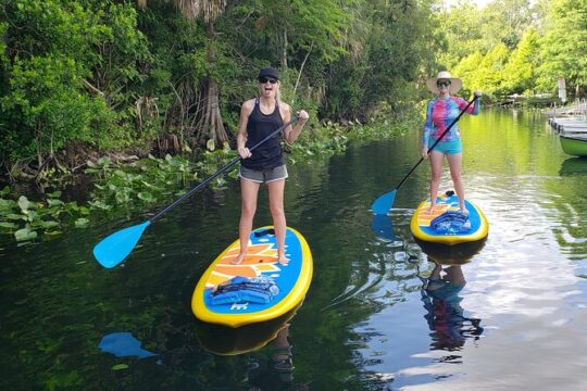 Florida Freshwater Springs Paddle Board Tour